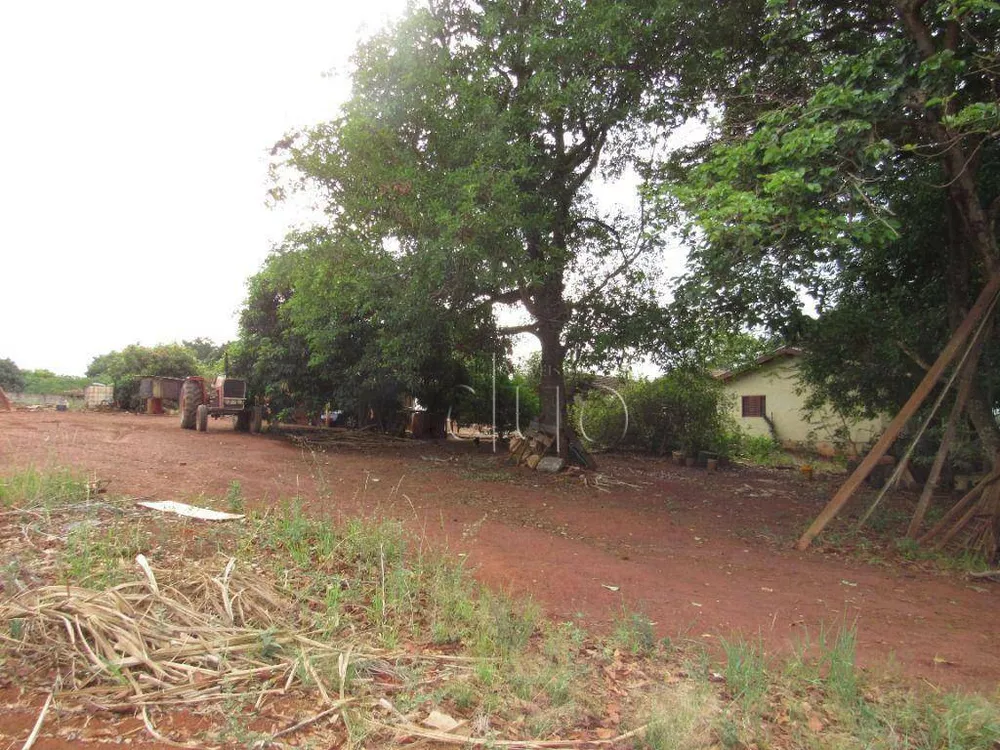 Terreno, 2 hectares - Foto 11