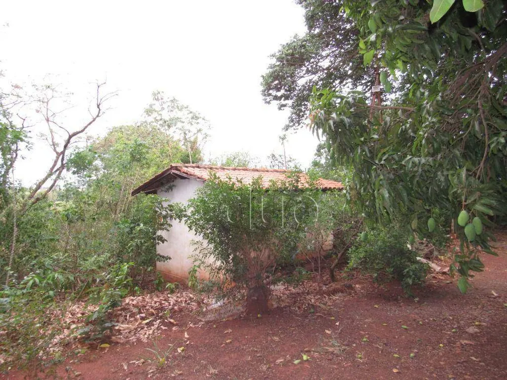 Terreno, 2 hectares - Foto 11