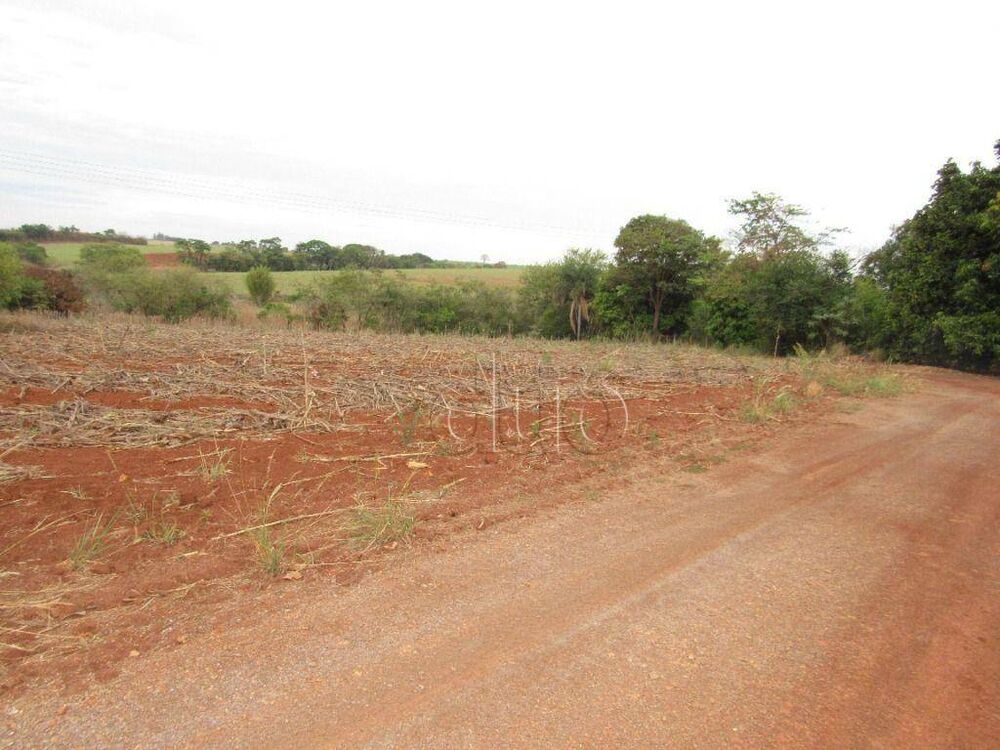 Terreno, 2 hectares - Foto 4