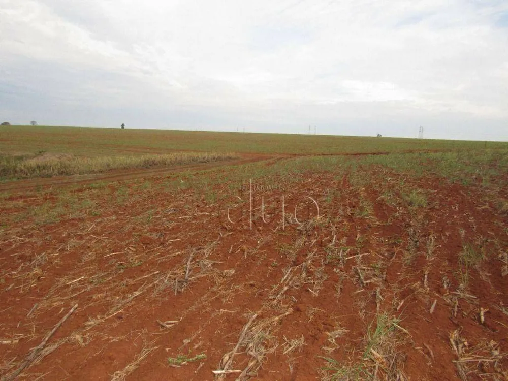 Terreno, 2 hectares - Foto 19