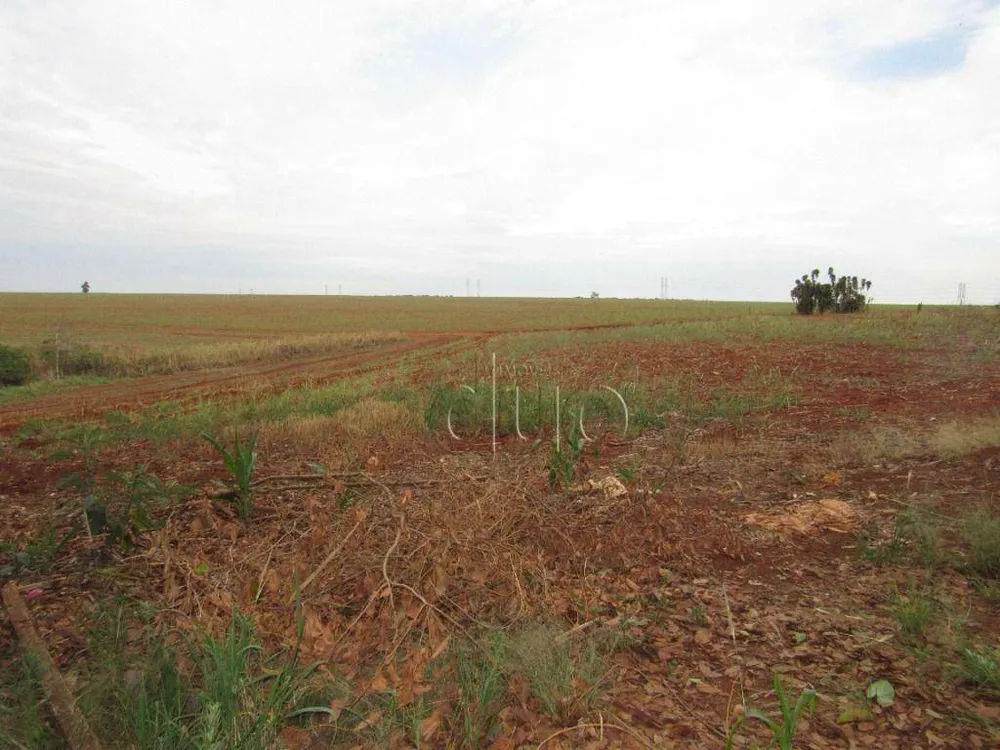 Terreno, 2 hectares - Foto 14