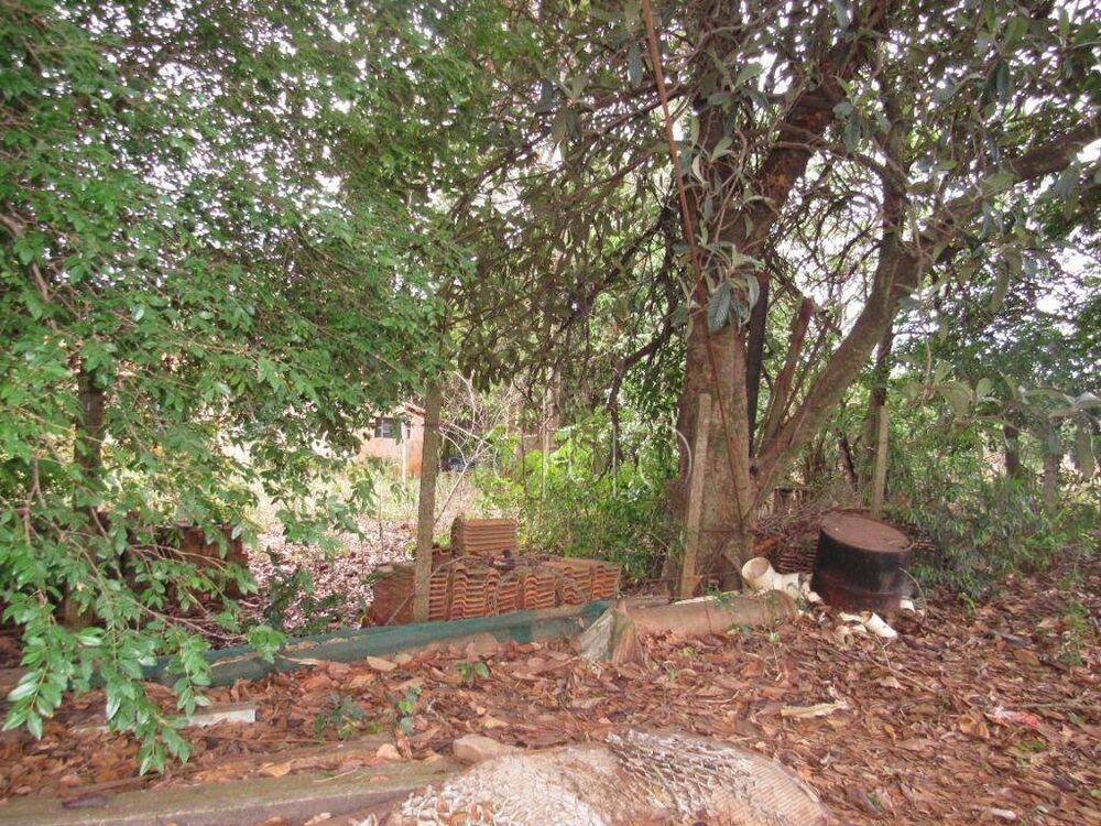 Terreno, 2 hectares - Foto 6