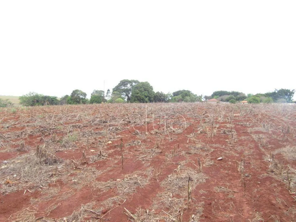 Terreno, 2 hectares - Foto 3