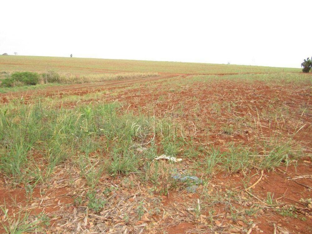 Terreno, 2 hectares - Foto 10