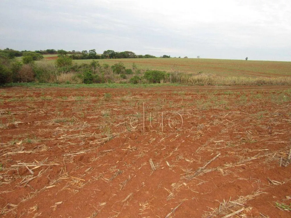 Terreno, 2 hectares - Foto 18