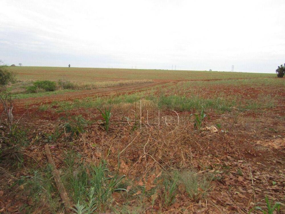 Terreno, 2 hectares - Foto 7