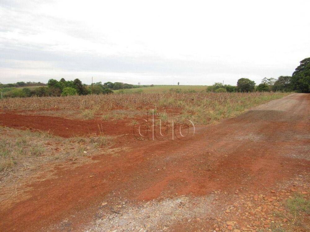 Terreno, 2 hectares - Foto 3