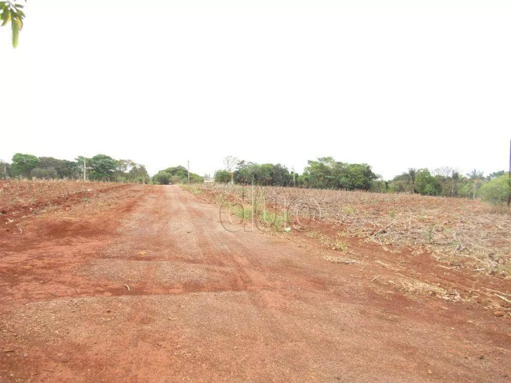 Terreno, 2 hectares - Foto 5