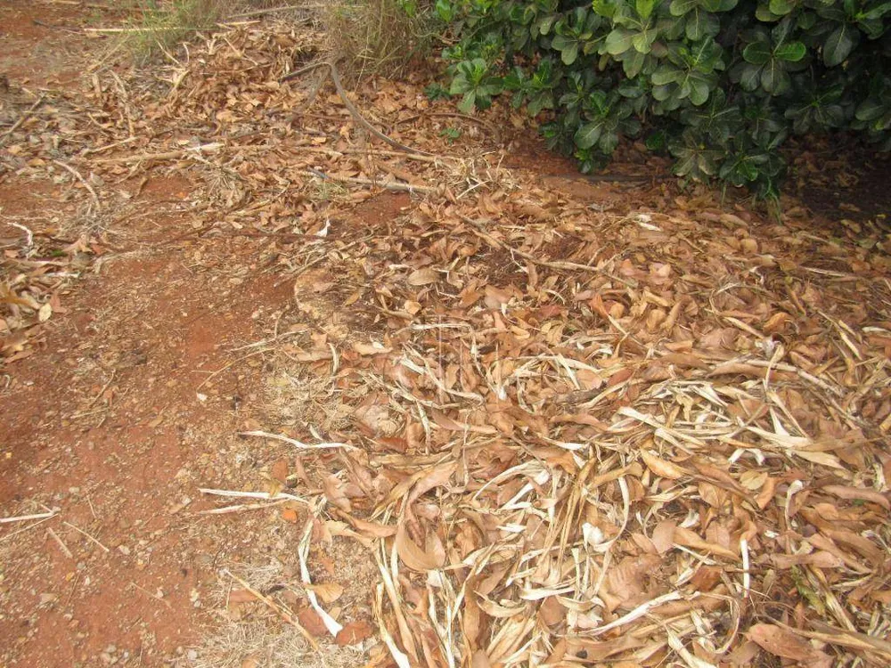 Terreno, 2 hectares - Foto 8