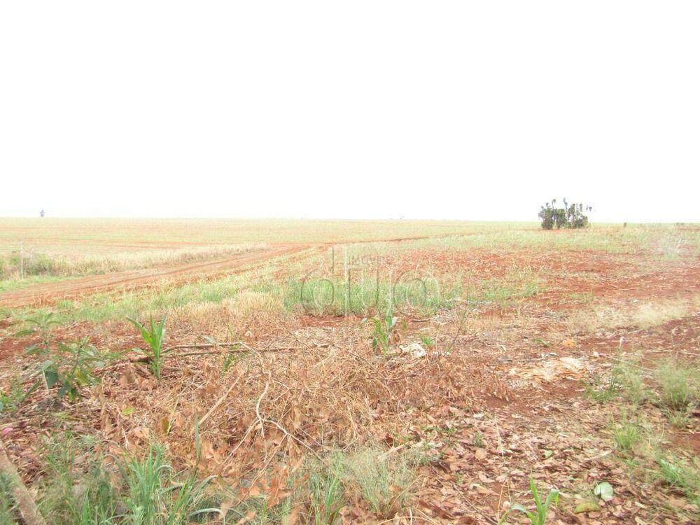 Terreno, 2 hectares - Foto 8