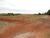 Terreno, 2 hectares - Foto 2
