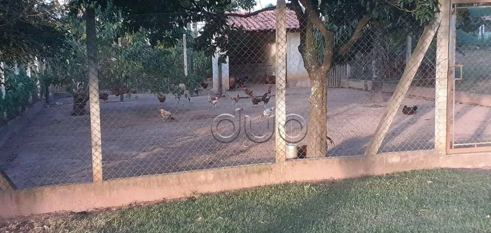 Sítio, 4 quartos, 9 hectares - Foto 9