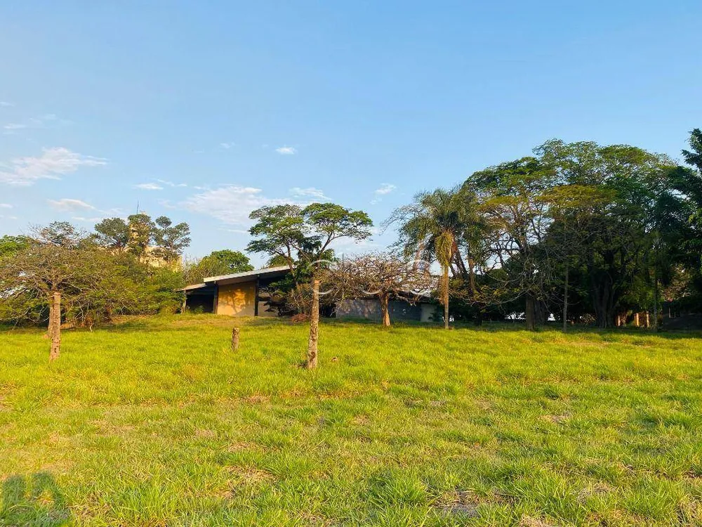 Terreno, 3 hectares - Foto 3