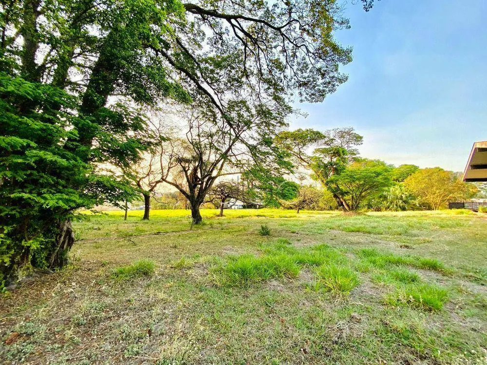 Terreno, 3 hectares - Foto 9