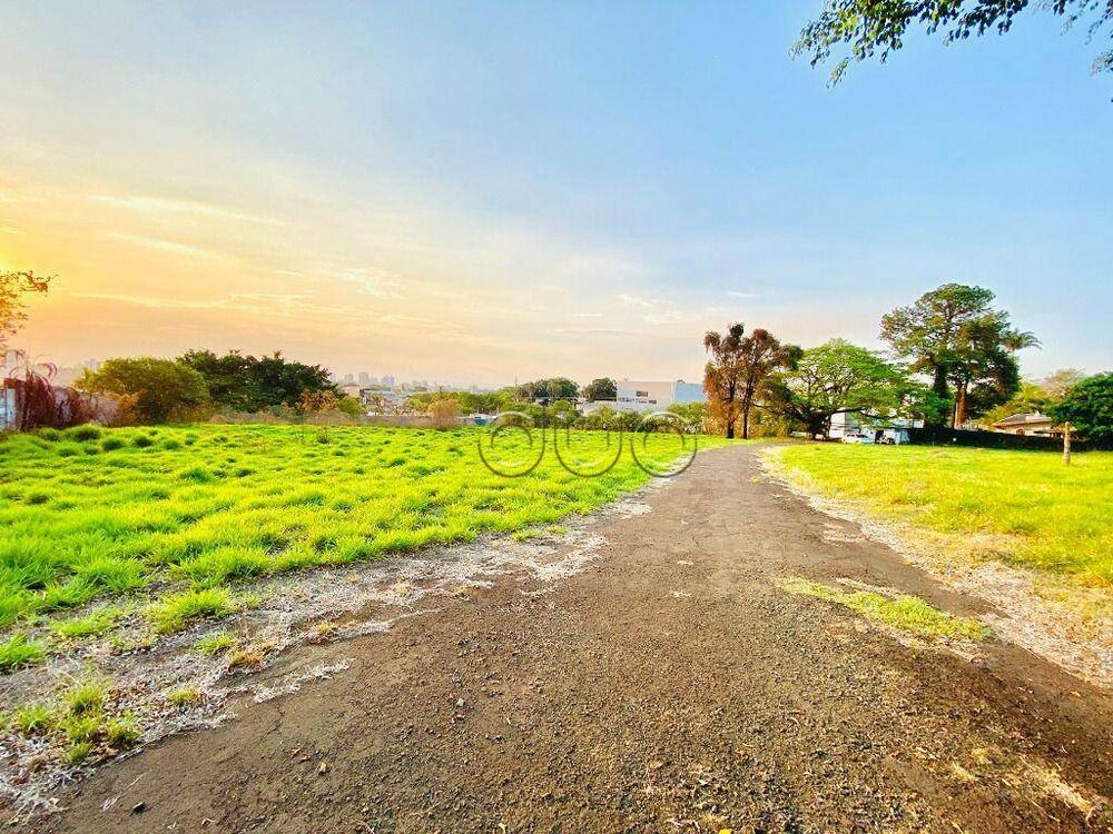 Terreno, 3 hectares - Foto 4