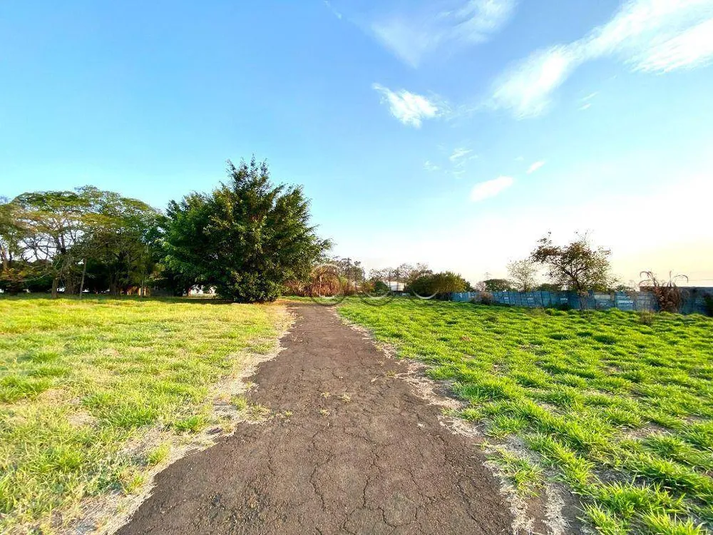 Terreno, 3 hectares - Foto 6
