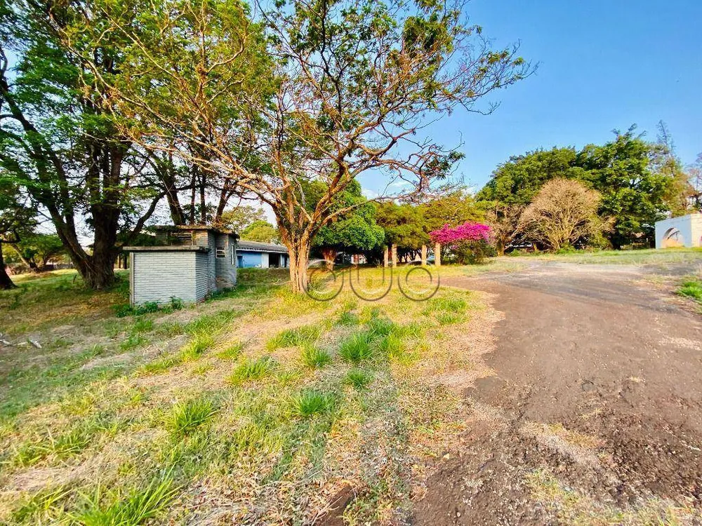 Terreno, 3 hectares - Foto 7