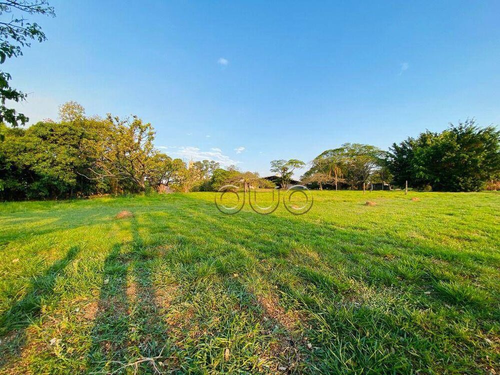 Terreno, 3 hectares - Foto 1