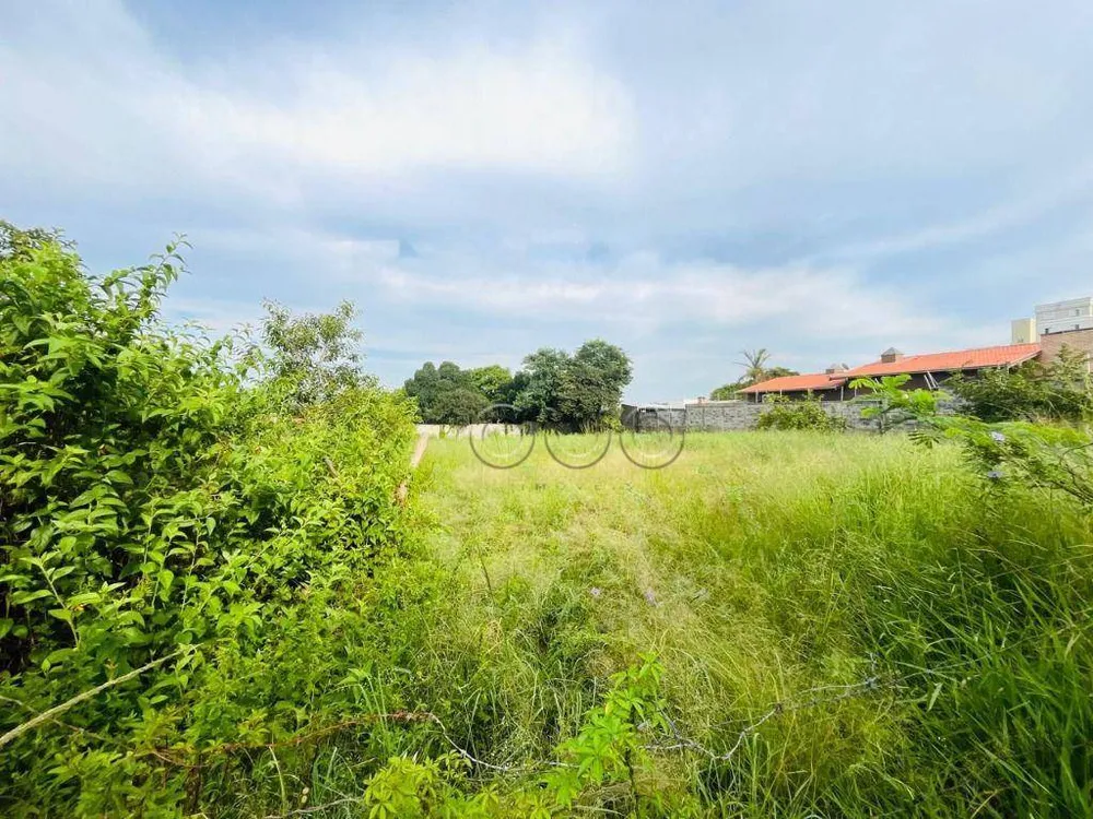 Terreno, 2000 m² - Foto 3