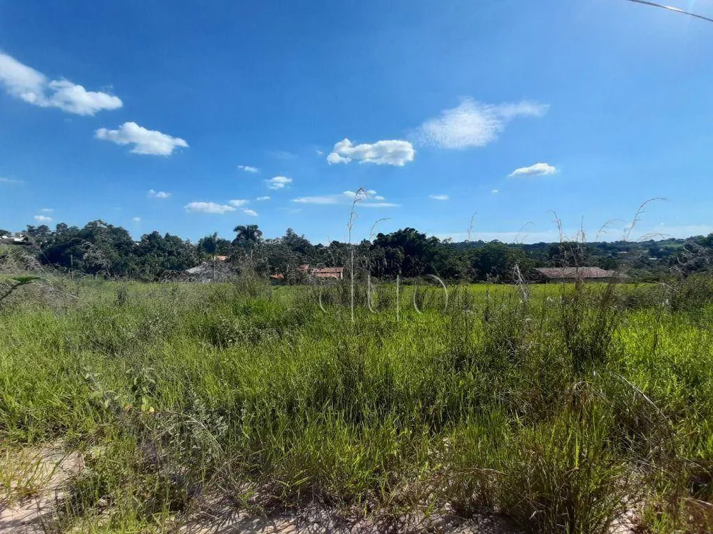 Terreno, 5000 m² - Foto 4