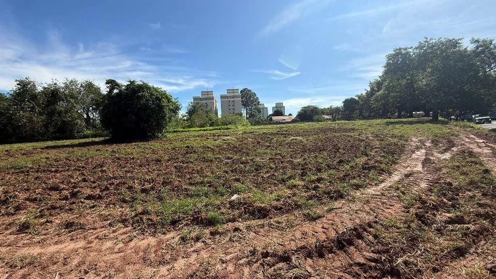 Terreno, 1 hectares - Foto 1
