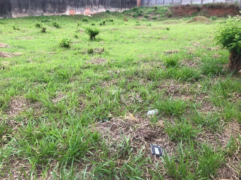 Terreno, 1539 m² - Foto 8