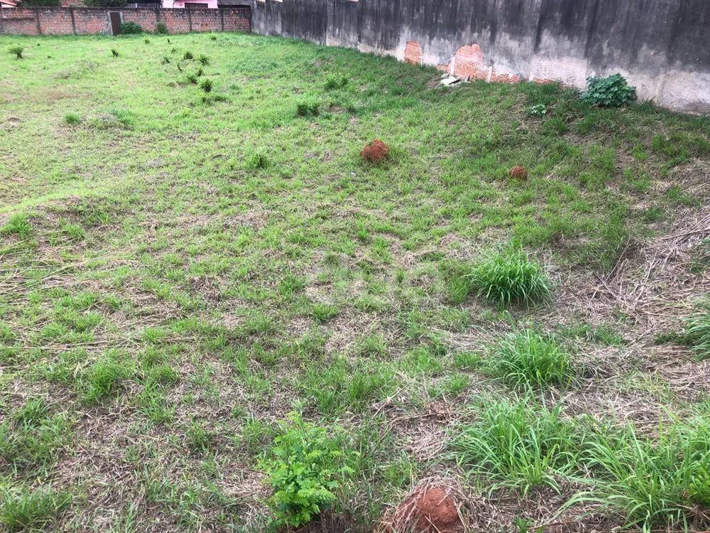 Terreno, 1539 m² - Foto 2