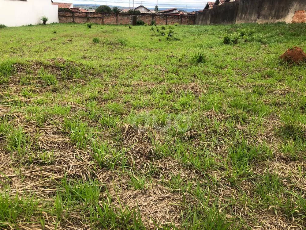 Terreno, 1539 m² - Foto 6