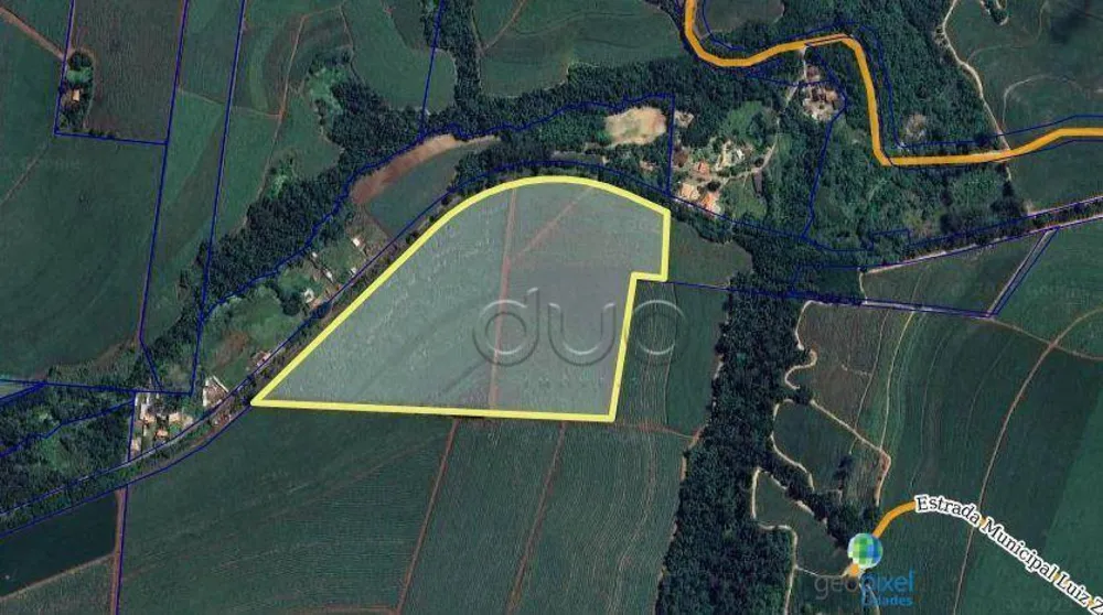 Terreno, 9 hectares - Foto 4