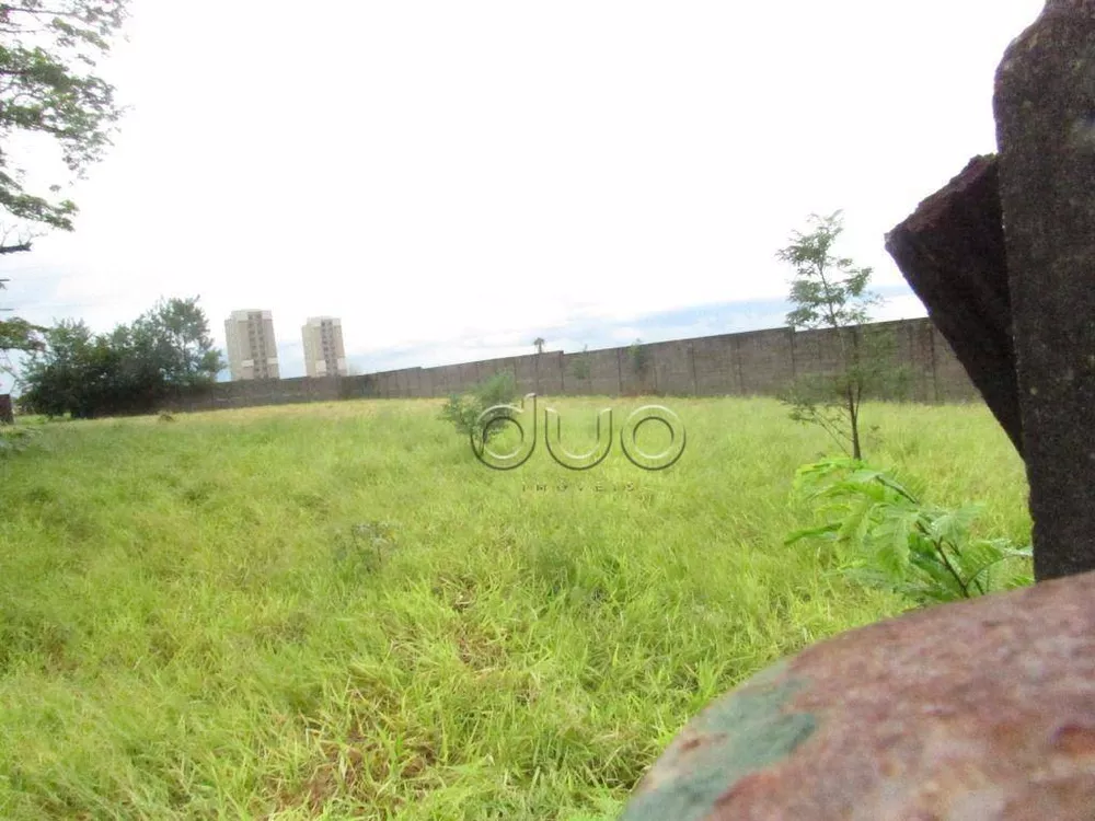 Terreno, 6364 m² - Foto 3