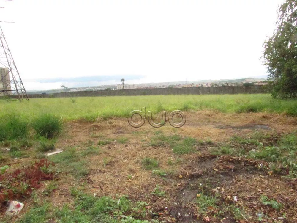 Terreno, 6364 m² - Foto 8