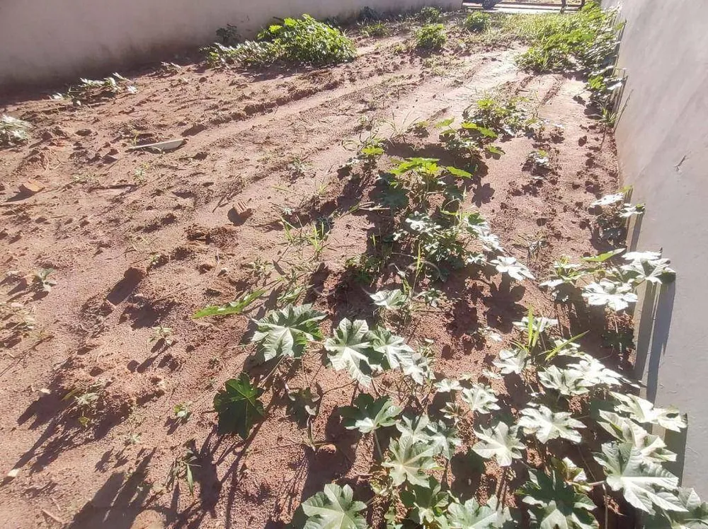 Terreno, 175 m² - Foto 3