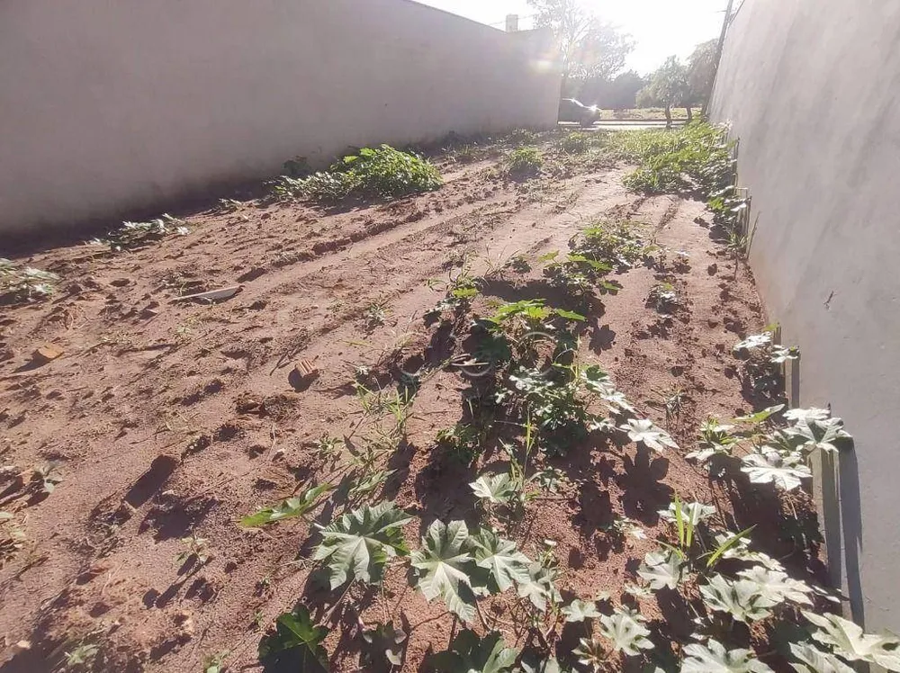 Terreno, 175 m² - Foto 4