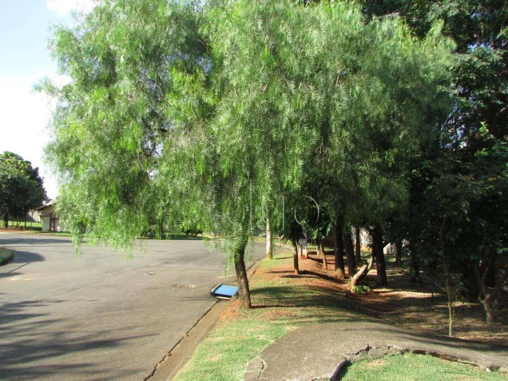 Loteamento e Condomínio, 300 m² - Foto 5