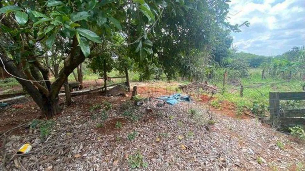 Depósito-Galpão, 800 m² - Foto 7