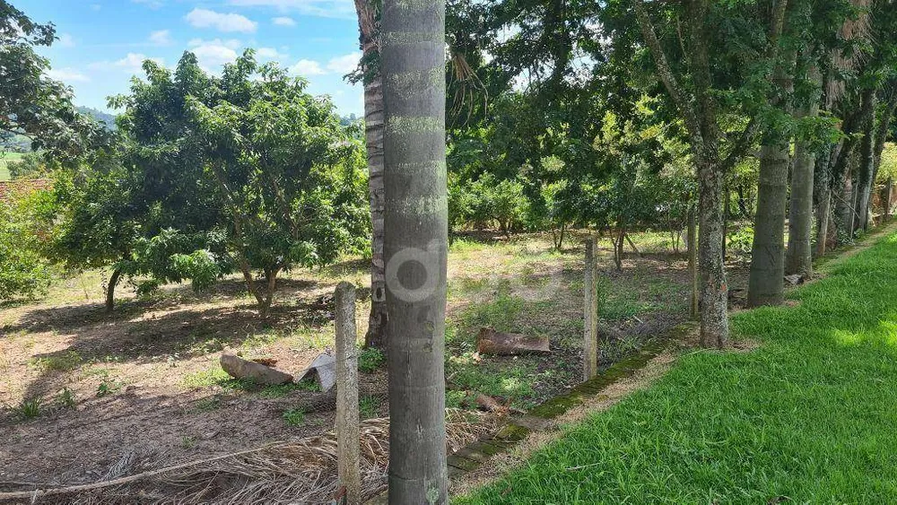 Chácara, 3 quartos, 4000 m² - Foto 23