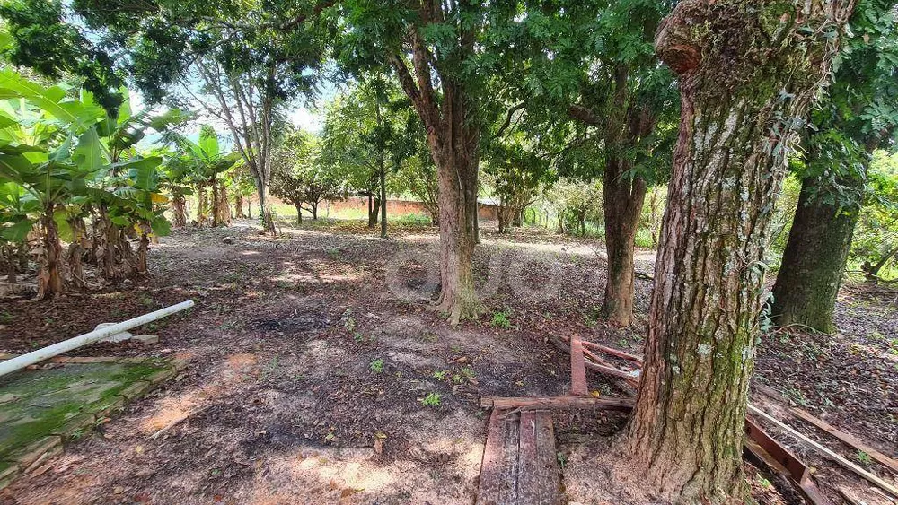 Chácara, 3 quartos, 4000 m² - Foto 19
