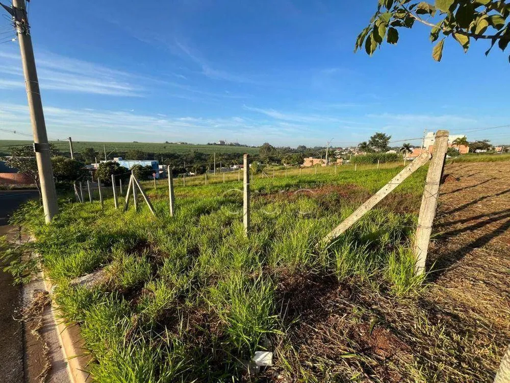 Terreno, 250 m² - Foto 3