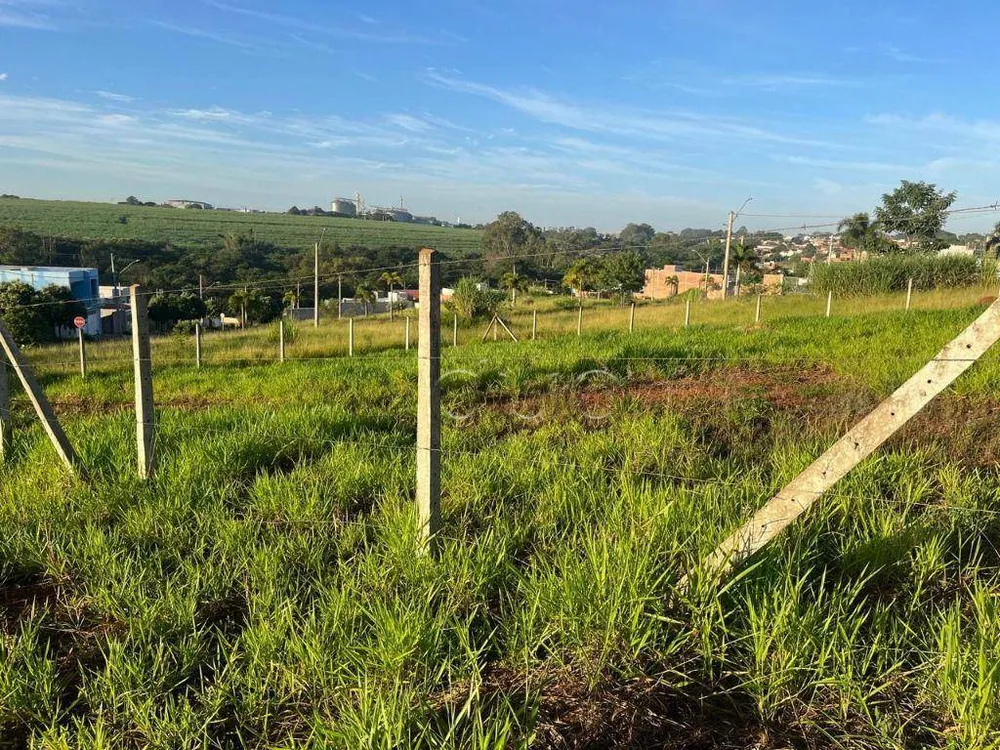 Terreno, 250 m² - Foto 3