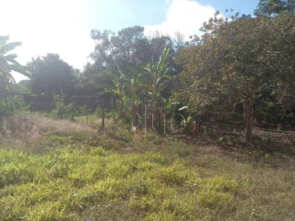 Terreno, 2818 m² - Foto 7