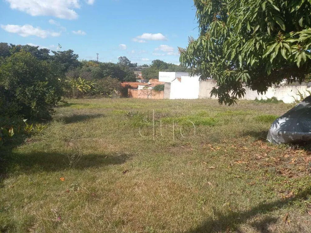 Terreno, 2818 m² - Foto 5
