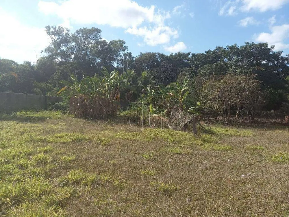 Terreno, 2818 m² - Foto 6