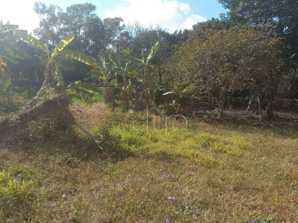 Terreno, 2818 m² - Foto 9