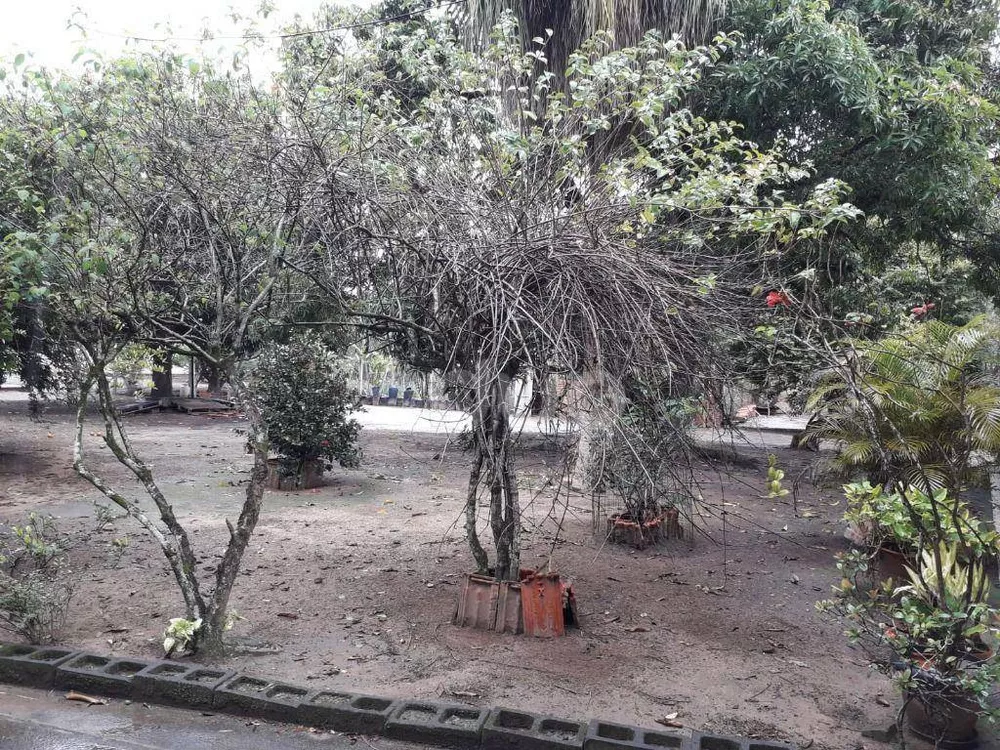 Chácara, 6 quartos, 6200 m² - Foto 7