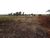 Terreno, 1 hectares - Foto 3