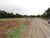 Terreno, 1 hectares - Foto 1