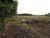 Terreno, 1 hectares - Foto 2