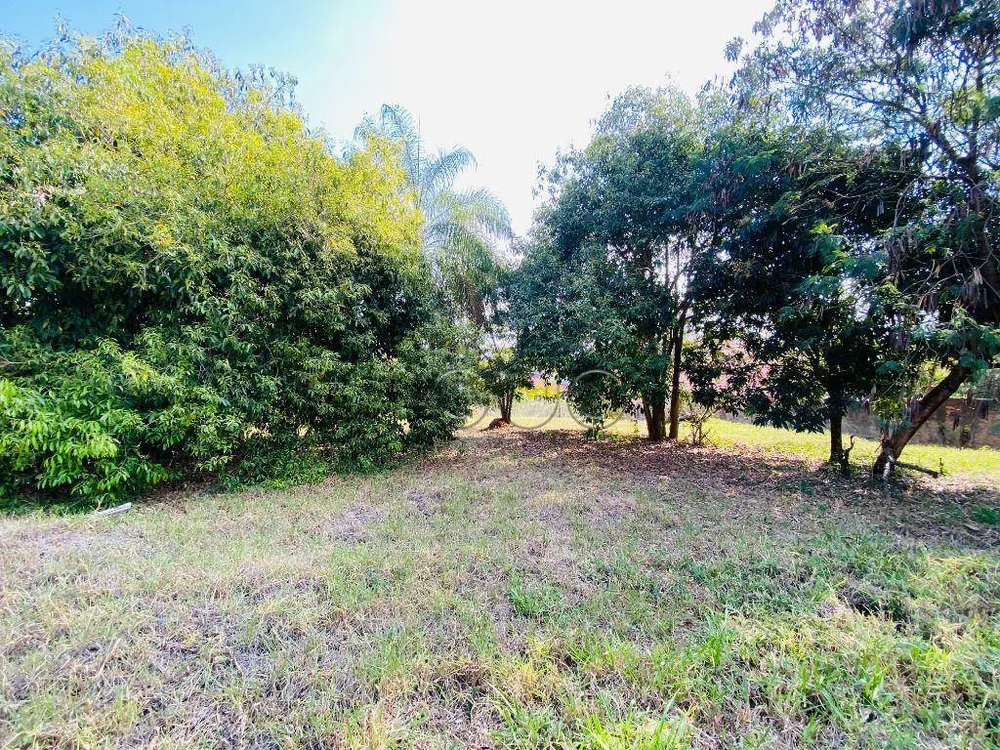 Terreno, 2000 m² - Foto 5