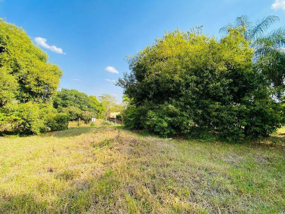 Terreno, 2000 m² - Foto 6