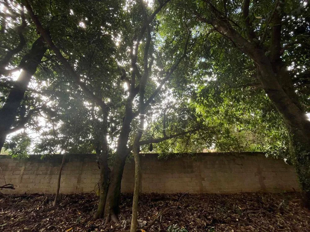 Terreno, 2000 m² - Foto 1